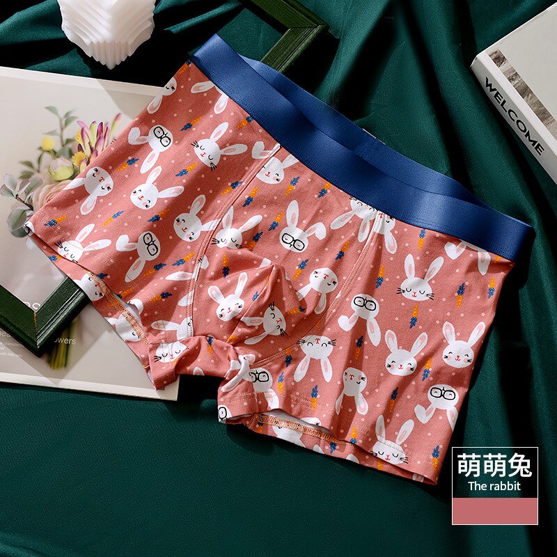 Children Underwear Antibacterial Crotch Cartoon Spider-Man Cotton Boxer  Briefs - China Boxer Shorts and Children Boxers price